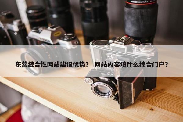 东营综合性网站建设优势？ 网站内容填什么综合门户？