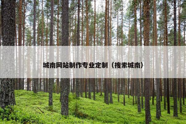 城南网站制作专业定制（搜索城南）
