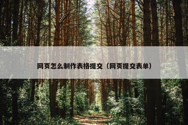 网页怎么制作表格提交（网页提交表单）