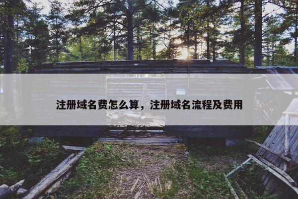 注册域名费怎么算，注册域名流程及费用