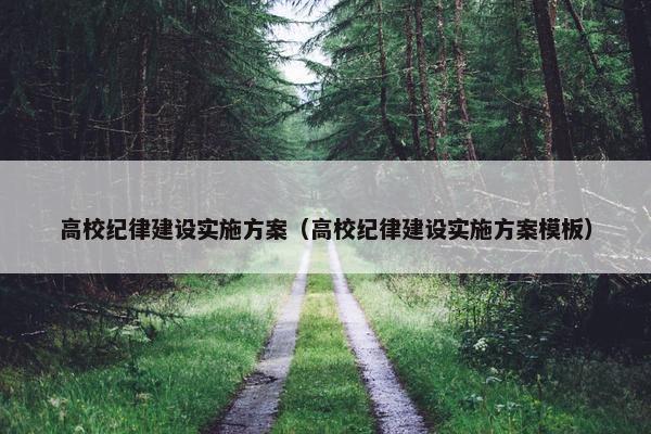 高校纪律建设实施方案（高校纪律建设实施方案模板）
