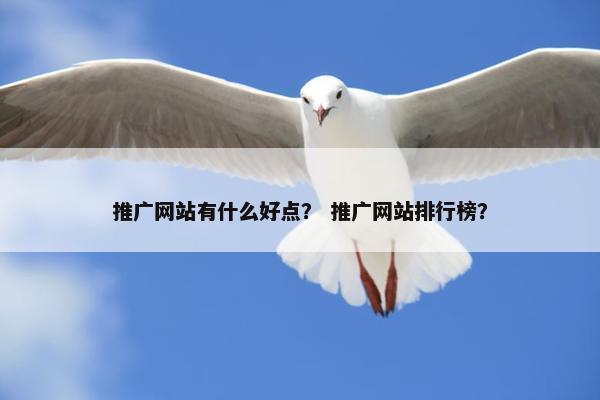 推广网站有什么好点？ 推广网站排行榜？