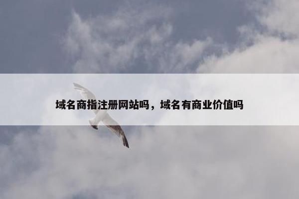 域名商指注册网站吗，域名有商业价值吗