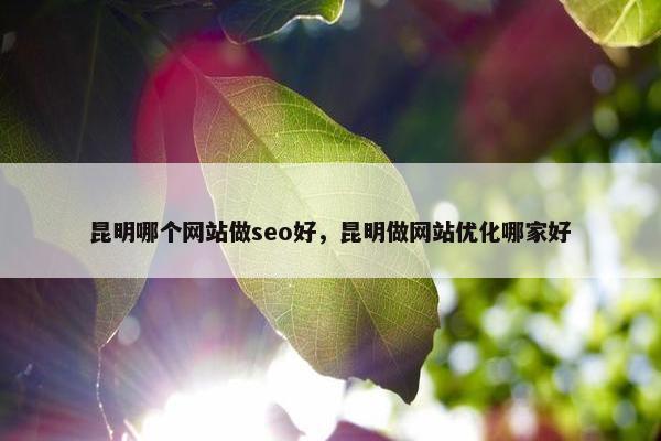 昆明哪个网站做seo好，昆明做网站优化哪家好