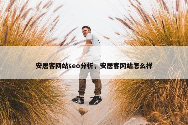 安居客网站seo分析，安居客网站怎么样