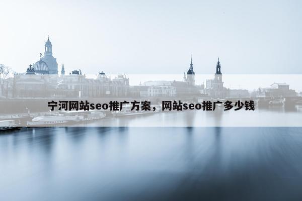 宁河网站seo推广方案，网站seo推广多少钱