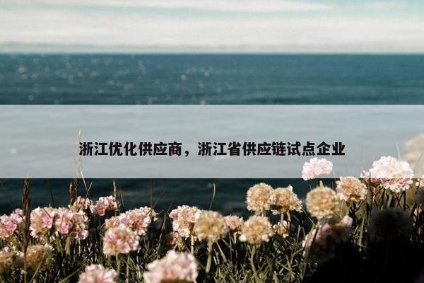 浙江优化供应商，浙江省供应链试点企业