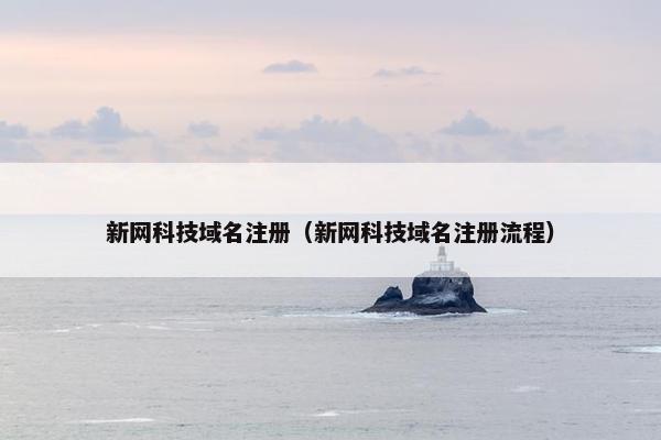 新网科技域名注册（新网科技域名注册流程）