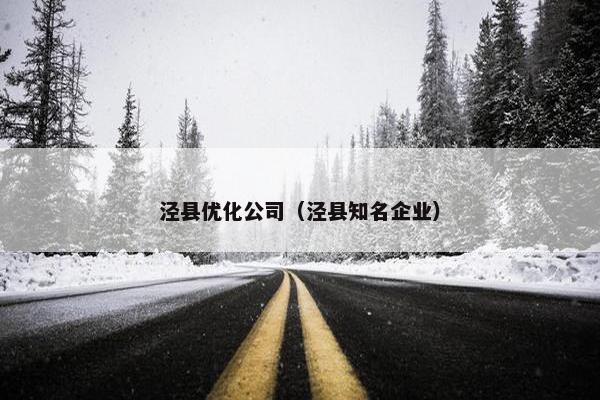 泾县优化公司（泾县知名企业）