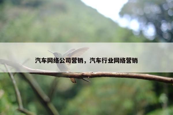 汽车网络公司营销，汽车行业网络营销