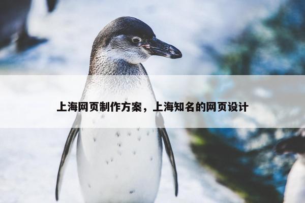 上海网页制作方案，上海知名的网页设计