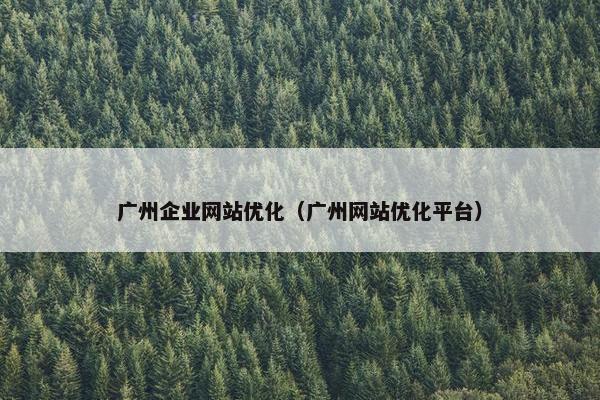 广州企业网站优化（广州网站优化平台）