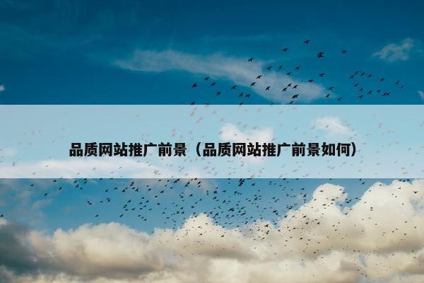 品质网站推广前景（品质网站推广前景如何）