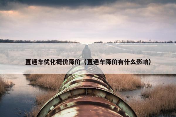 直通车优化提价降价（直通车降价有什么影响）