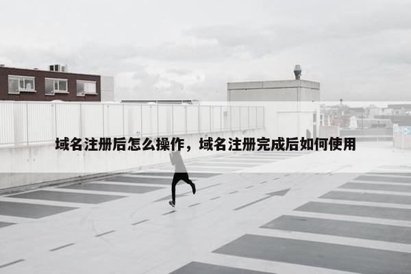 域名注册后怎么操作，域名注册完成后如何使用