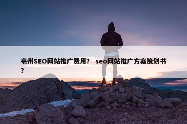 亳州SEO网站推广费用？ seo网站推广方案策划书？
