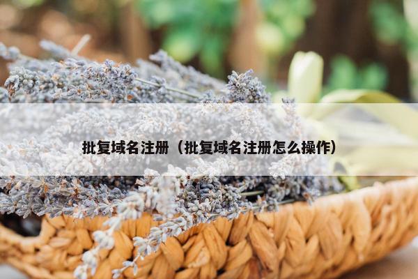 批复域名注册（批复域名注册怎么操作）