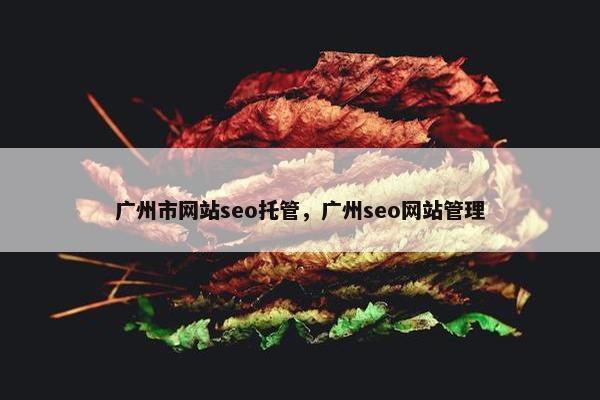 广州市网站seo托管，广州seo网站管理