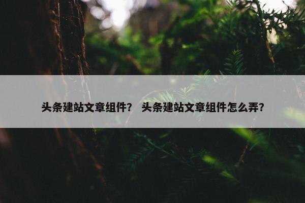头条建站文章组件？ 头条建站文章组件怎么弄？