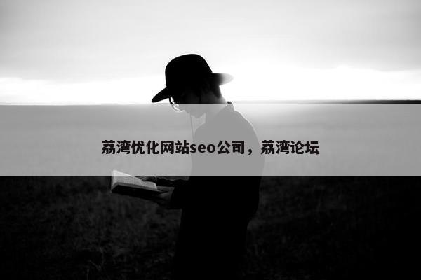 荔湾优化网站seo公司，荔湾论坛