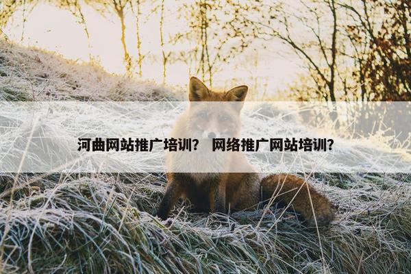 河曲网站推广培训？ 网络推广网站培训？