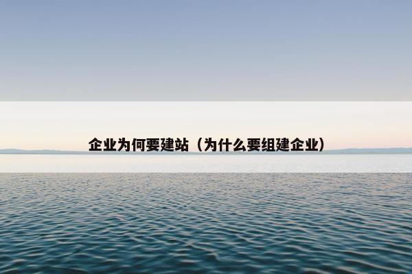 企业为何要建站（为什么要组建企业）