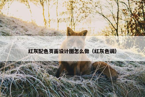 红灰配色页面设计图怎么做（红灰色调）