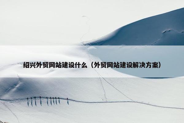 绍兴外贸网站建设什么（外贸网站建设解决方案）