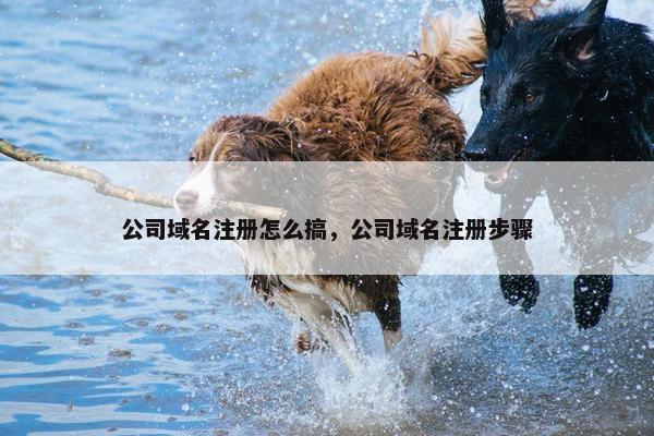 公司域名注册怎么搞，公司域名注册步骤