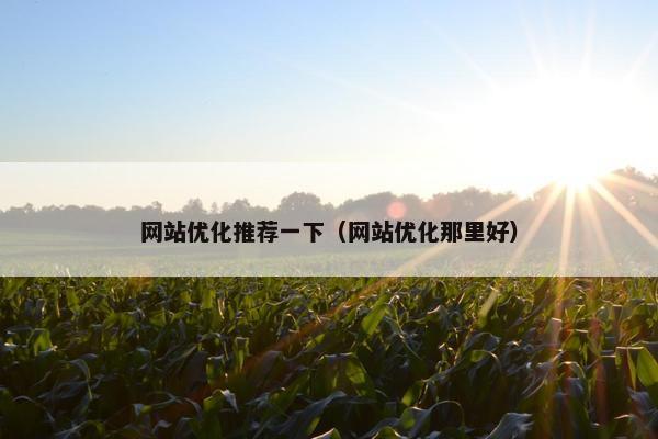 网站优化推荐一下（网站优化那里好）