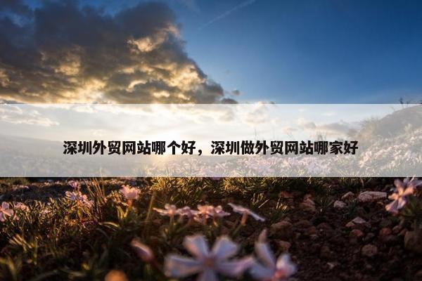 深圳外贸网站哪个好，深圳做外贸网站哪家好