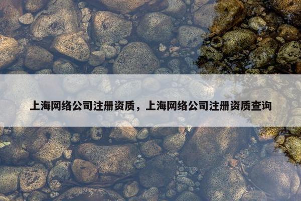 上海网络公司注册资质，上海网络公司注册资质查询
