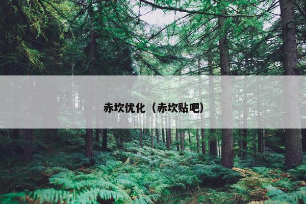 赤坎优化（赤坎贴吧）