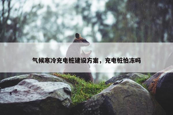 气候寒冷充电桩建设方案，充电桩怕冻吗