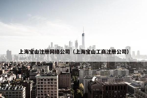 上海宝山注册网络公司（上海宝山工商注册公司）