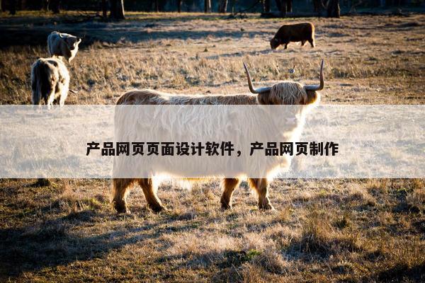 产品网页页面设计软件，产品网页制作