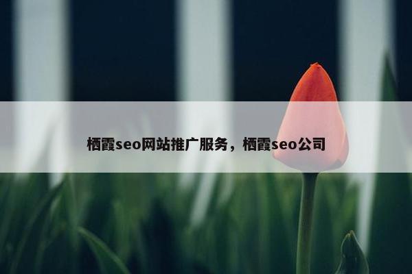 栖霞seo网站推广服务，栖霞seo公司