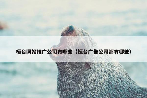 桓台网站推广公司有哪些（桓台广告公司都有哪些）