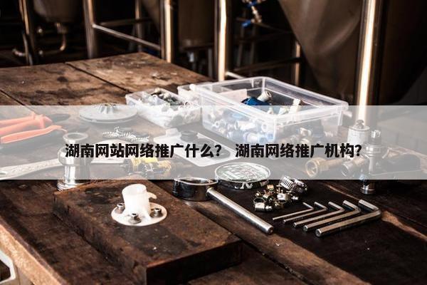 湖南网站网络推广什么？ 湖南网络推广机构？