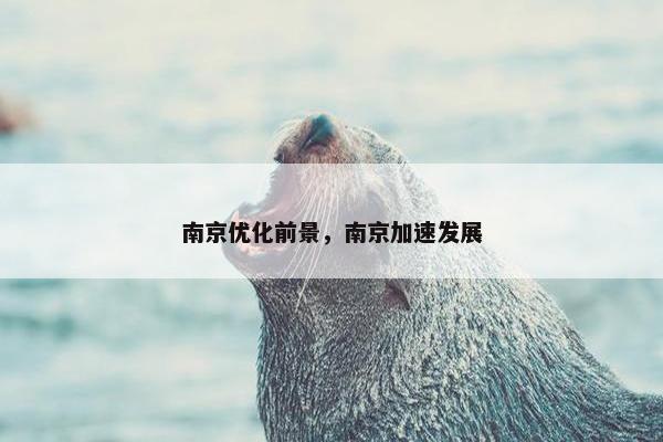 南京优化前景，南京加速发展