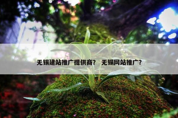 无锡建站推广提供商？ 无锡网站推广？