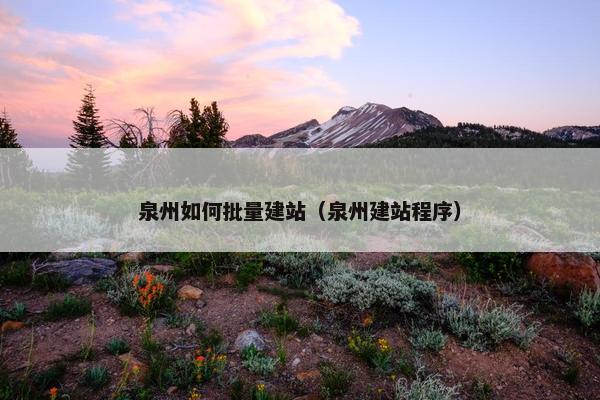 泉州如何批量建站（泉州建站程序）