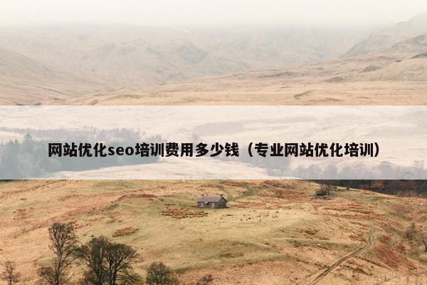 网站优化seo培训费用多少钱（专业网站优化培训）