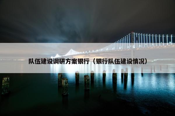 队伍建设调研方案银行（银行队伍建设情况）
