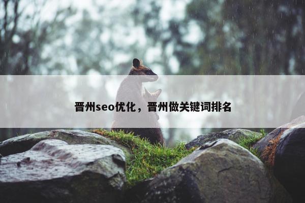 晋州seo优化，晋州做关键词排名
