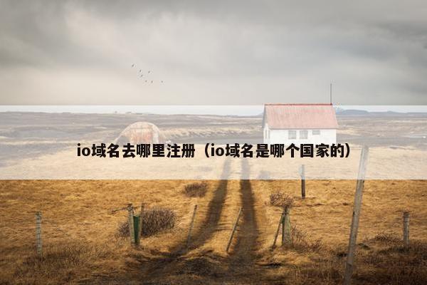 io域名去哪里注册（io域名是哪个国家的）