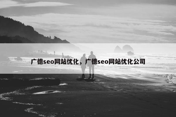 广德seo网站优化，广德seo网站优化公司