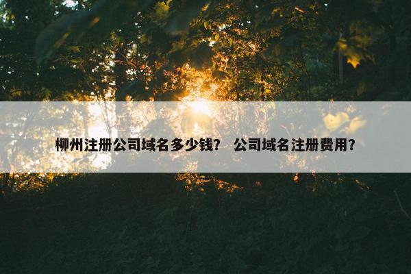 柳州注册公司域名多少钱？ 公司域名注册费用？