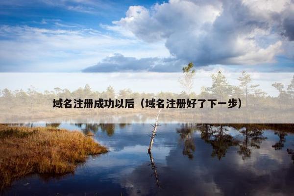 域名注册成功以后（域名注册好了下一步）