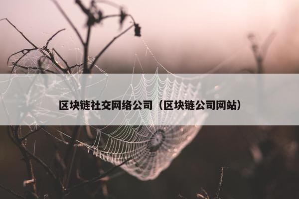 区块链社交网络公司（区块链公司网站）